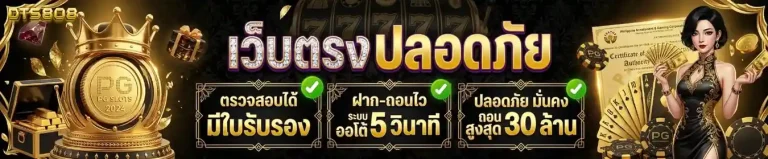 dts 808 ทางเข้า